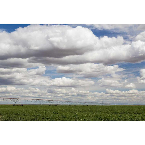 WA, Connell Irrigation device in farm field Gold Ornate Wood Framed Art Print with Double Matting by Paulson, Don