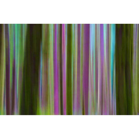 Washington Abstract of Hoh Rain Forest at dusk Gold Ornate Wood Framed Art Print with Double Matting by Delisle, Gilles