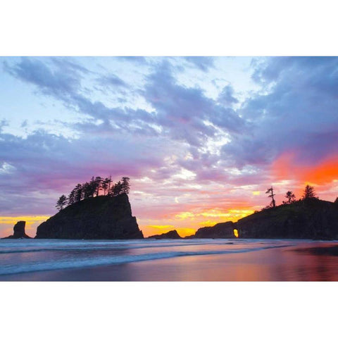 Washington, Olympic NP Second Beach at sunset Black Modern Wood Framed Art Print by Delisle, Gilles