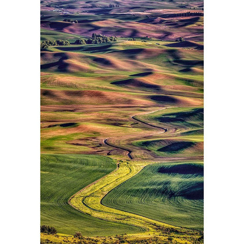 Washington State-Palouse Steptoe Butte at sunset  Black Modern Wood Framed Art Print by Jaynes Gallery