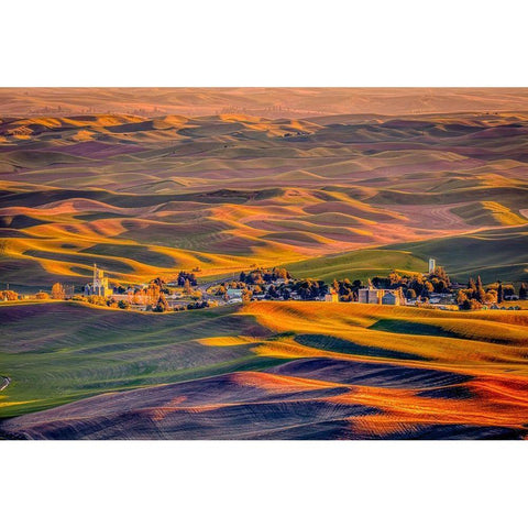 Washington State-Palouse Steptoe Village and farmland at sunset  White Modern Wood Framed Art Print by Jaynes Gallery