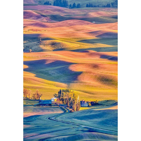 Washington State-Palouse Steptoe Village and farmland at sunset  Black Modern Wood Framed Art Print by Jaynes Gallery