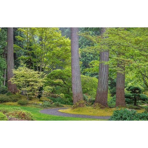 Washington State-Bainbridge Island Garden path composite panoramic White Modern Wood Framed Art Print by Jaynes Gallery