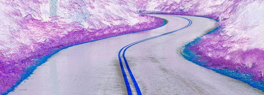 Image Only