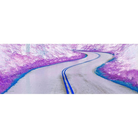 Washington State-Olympic National Park Panoramic abstract of curving park road Black Modern Wood Framed Art Print by Jaynes Gallery