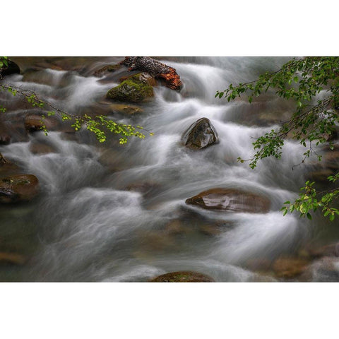 Washington State-Olympic National Park Dungeness River rapids  Black Modern Wood Framed Art Print by Jaynes Gallery