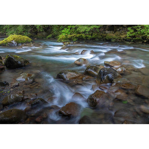 Washington State-Olympic National Park Dungeness River rapids  Gold Ornate Wood Framed Art Print with Double Matting by Jaynes Gallery