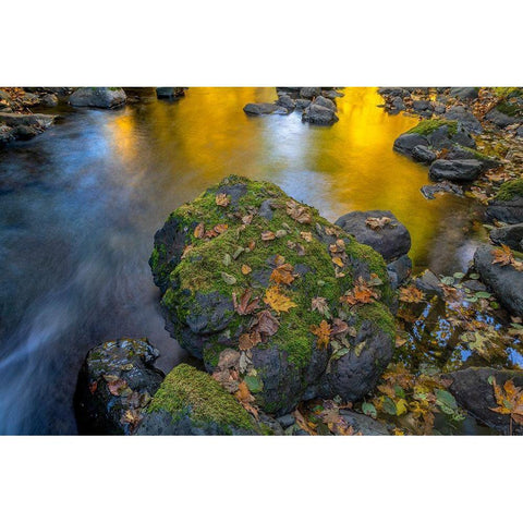 Washington State-Olympic National Forest Reflections of autumn in Rocky Creek  Black Modern Wood Framed Art Print by Jaynes Gallery