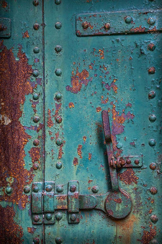 Washington State-Port Townsend Rusted metal door in fort  Black Ornate Wood Framed Art Print with Double Matting by Jaynes Gallery