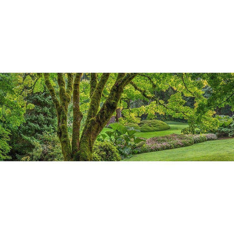 Washington State-Bainbridge Island Panoramic of garden  Black Modern Wood Framed Art Print by Jaynes Gallery