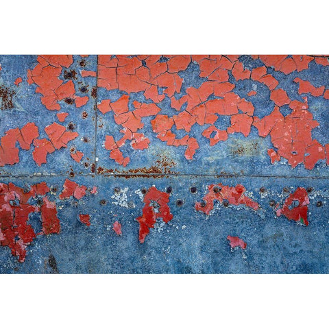 Washington State-Port Townsend-Fort Worden State Park Rusty metal of old metal boat  Black Modern Wood Framed Art Print by Jaynes Gallery