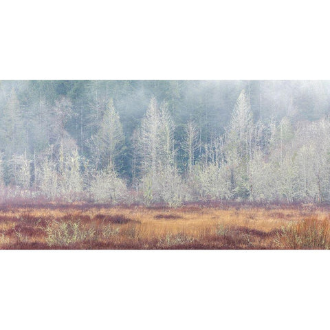 Washington State-Dewatto Panoramic of autumn meadow and forest  Black Modern Wood Framed Art Print by Jaynes Gallery