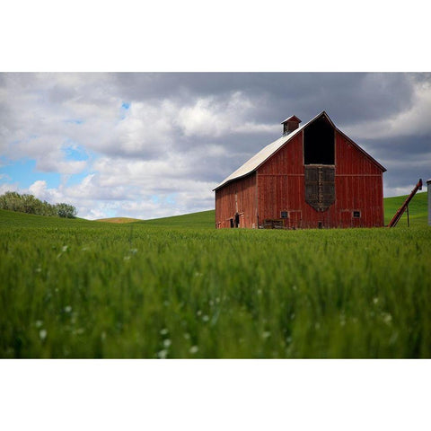 Washington State-Palouse Red barn in farm field Black Modern Wood Framed Art Print by Jaynes Gallery