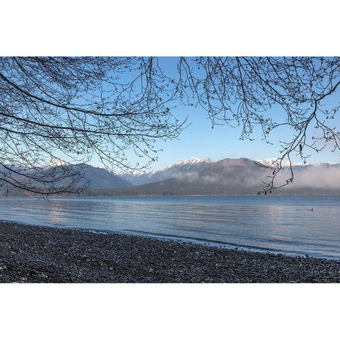 Washington State-Seabeck Winter morning on Hood Canal beach Black Modern Wood Framed Art Print by Jaynes Gallery