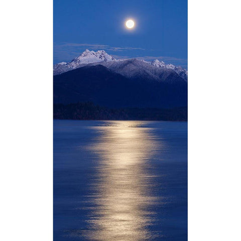 Washington State-Seabeck Moon over Olympic Mountains and Hood Canal at sunrise Black Modern Wood Framed Art Print by Jaynes Gallery