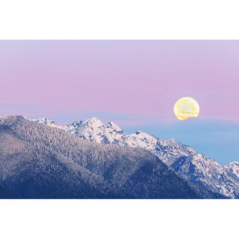 Washington State Moon setting over the Olympic Mountains at sunrise Black Modern Wood Framed Art Print by Jaynes Gallery