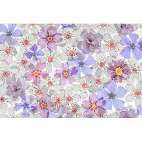 Washington State-Seabeck Montage of spring flowers Black Modern Wood Framed Art Print by Jaynes Gallery