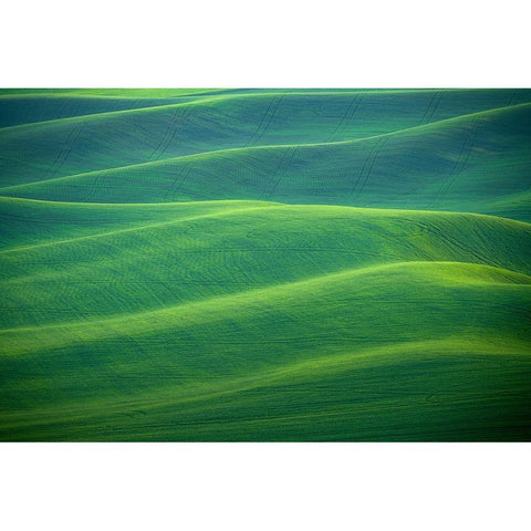 USA-Washington-Palouse-Rolling spring wheat fields Black Modern Wood Framed Art Print by Jaynes Gallery