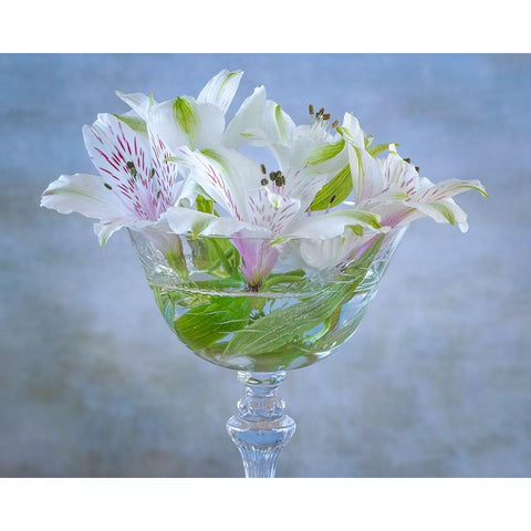 USA-Washington State-Seabeck Alstroemeria blossoms in vase Black Modern Wood Framed Art Print by Jaynes Gallery