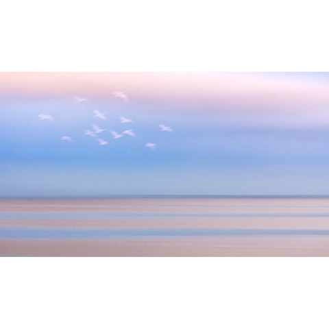 USA-Washington State-Seabeck Pastel sunrise panoramic over Hood Canal White Modern Wood Framed Art Print by Jaynes Gallery