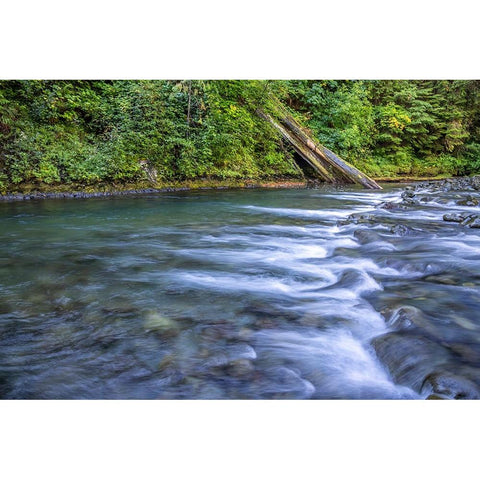 USA-Washington State-Olympic National Forest Rapids on Duckabush River Black Modern Wood Framed Art Print with Double Matting by Jaynes Gallery