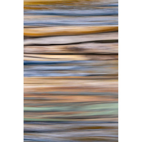 USA-Washington State-Seabeck Abstract of tree trunk and limbs Black Modern Wood Framed Art Print with Double Matting by Jaynes Gallery