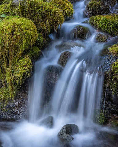 USA-Washington State-Olympic National Park Cedar Creek cascades through moss- covered boulders White Modern Wood Framed Art Print with Double Matting by Jaynes Gallery