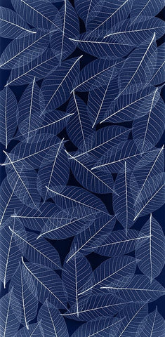 USA- Washington State- Seabeck. Black and white pattern of skeletonized leaves. Black Ornate Wood Framed Art Print with Double Matting by Jaynes Gallery