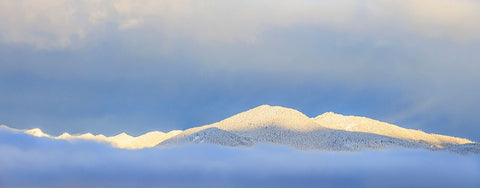 USA- Washington State. Sunrise panoramic of snow-covered mountains in Olympic National Forest. Black Ornate Wood Framed Art Print with Double Matting by Jaynes Gallery