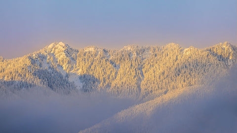 USA- Washington State. Sunrise on snow-covered mountains in Olympic National Forest. Black Modern Wood Framed Art Print by Jaynes Gallery