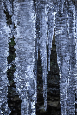 USA- Washington State- Seabeck. Close-up of icicles. White Modern Wood Framed Art Print with Double Matting by Jaynes Gallery