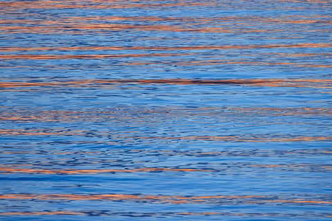 USA- Washington State- Seabeck. Sunrise reflected on Hood Canal. White Modern Wood Framed Art Print with Double Matting by Jaynes Gallery