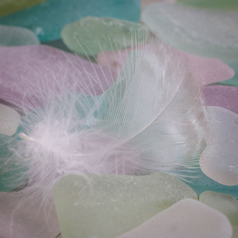 USA- Washington State- Seabeck. Feather and beach glass close-up. Black Modern Wood Framed Art Print by Jaynes Gallery