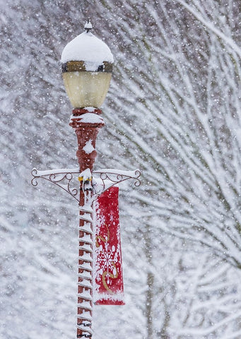 USA- Washington State- Issaquah with fresh fallen snow and red lamppost with Christmas decorations Black Ornate Wood Framed Art Print with Double Matting by Gulin, Darrell