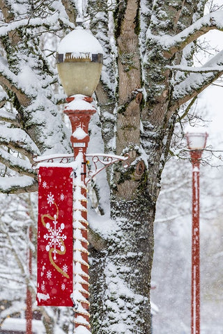 USA- Washington State- Issaquah with fresh fallen snow and red lamppost with Christmas decorations Black Ornate Wood Framed Art Print with Double Matting by Gulin, Darrell