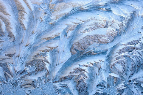 USA- Washington State- Sammamish. Frost on auto window Black Ornate Wood Framed Art Print with Double Matting by Gulin, Darrell