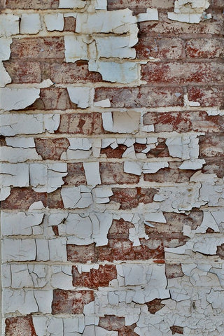 USA- Washington State- Oaksdale. Eastern Washington old painted brick wall Black Ornate Wood Framed Art Print with Double Matting by Gulin, Darrell