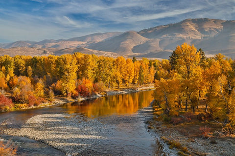 USA- Washington State- Methow Valley and river edged in Fall colored trees. White Modern Wood Framed Art Print with Double Matting by Gulin, Darrell