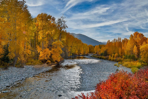 USA- Washington State- Methow Valley and river edged in Fall colored trees. Black Ornate Wood Framed Art Print with Double Matting by Gulin, Darrell