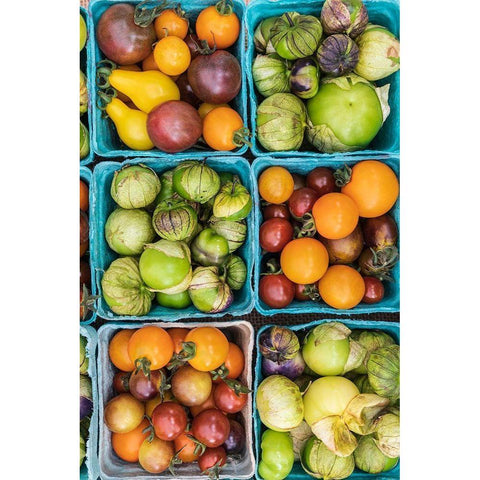 Washington State-Vancouver Fresh heirloom tomatoes for sale at a farmers market Gold Ornate Wood Framed Art Print with Double Matting by Wilson, Emily