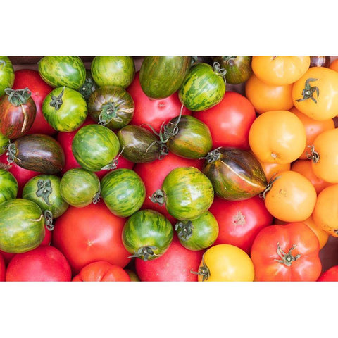 Washington State-Vancouver Fresh heirloom tomatoes for sale at a farmers market Black Modern Wood Framed Art Print by Wilson, Emily