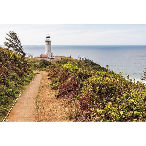 Washington State-Ilwaco-Cape Disappointment State Park North Head lighthouse Black Modern Wood Framed Art Print by Wilson, Emily