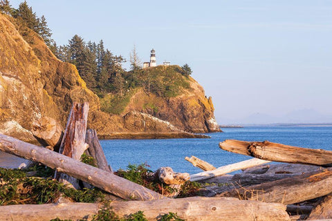 Washington State-Ilwaco-Cape Disappointment State Park Cape Disappointment Lighthouse  Black Ornate Wood Framed Art Print with Double Matting by Wilson, Emily