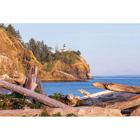 Washington State-Ilwaco-Cape Disappointment State Park Cape Disappointment Lighthouse  White Modern Wood Framed Art Print by Wilson, Emily