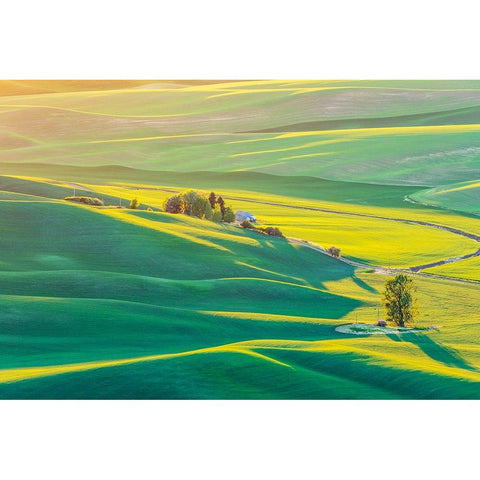 Steptoe Butte State Park-Washington State-USA-Sunset view of wheat fields in the rolling Palouse hi Black Modern Wood Framed Art Print by Wilson, Emily M.