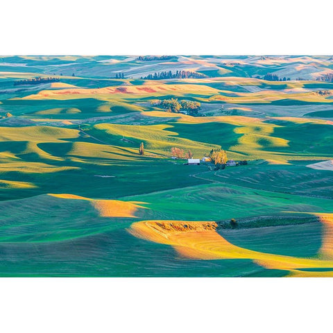 Steptoe Butte State Park-Washington State-USA-Sunset view of wheat farms in the rolling Palouse hil Black Modern Wood Framed Art Print with Double Matting by Wilson, Emily M.