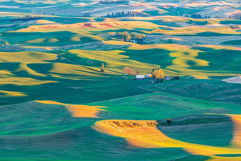 Steptoe Butte State Park-Washington State-USA-Sunset view of wheat farms in the rolling Palouse hil White Modern Wood Framed Art Print with Double Matting by Wilson, Emily M.