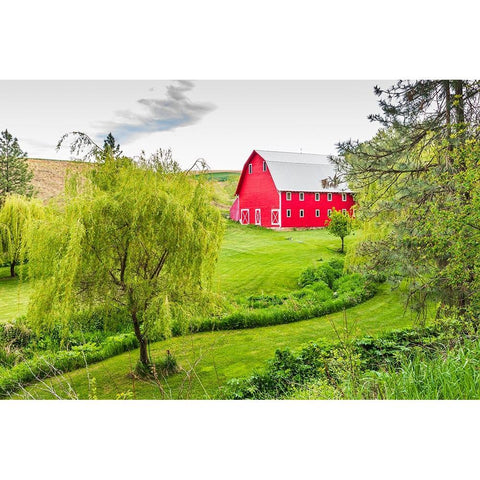 Colfax-Washington State-USA-A red barn on a farm in the Palouse hills Black Modern Wood Framed Art Print with Double Matting by Wilson, Emily M.
