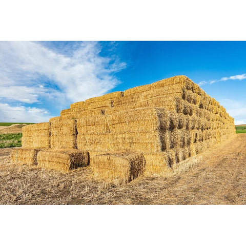 Pullman-Washington State-USA-Stack of hay bales in the Palouse hills White Modern Wood Framed Art Print by Wilson, Emily M.