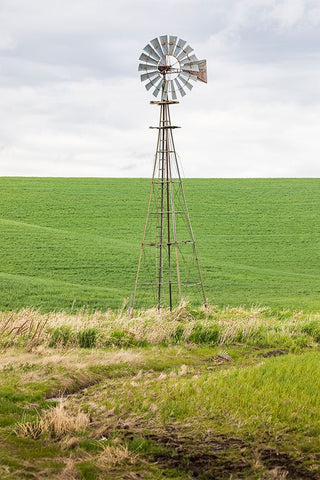 Palouse-Washington State-USA-Windmill in wheat field in the Palouse hills White Modern Wood Framed Art Print with Double Matting by Wilson, Emily M.